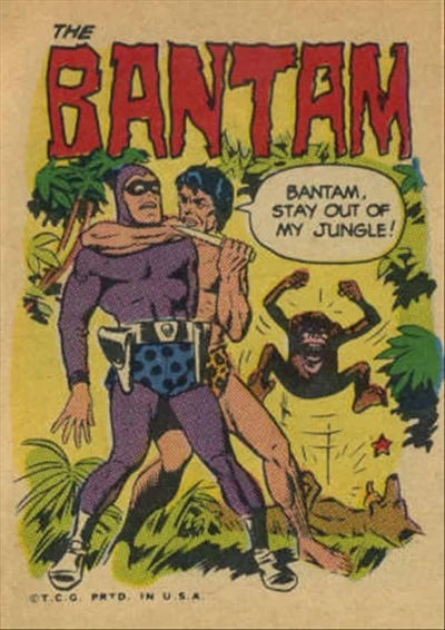 Cover of Bantam