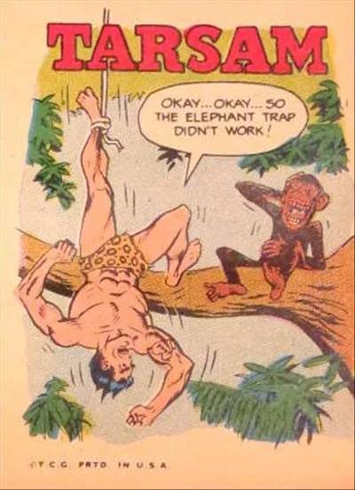 Cover of Tarsam