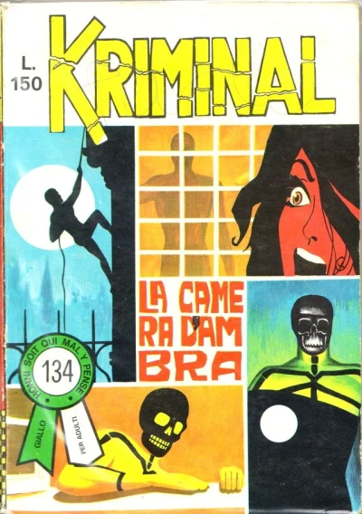 Cover of La Camera d'Ambra