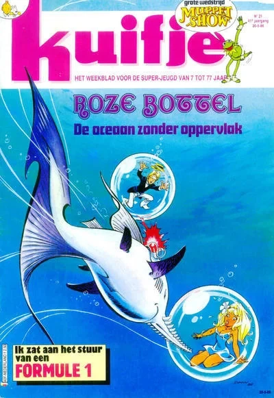 Cover of Roze Bottel