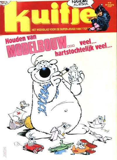 Cover of Modelbouw