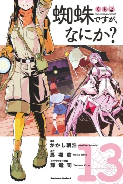 Vol. 13