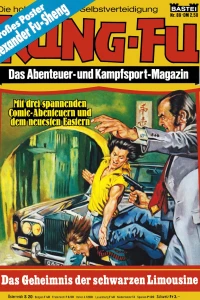 Das Geheimnis der schwarzen Limousine
