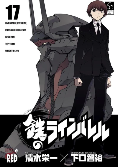 Cover of Vol. 17