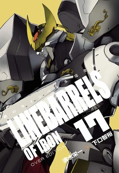 Cover of Vol. 17