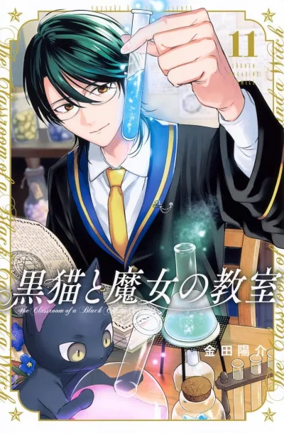 Cover of Vol. 11