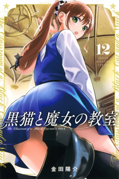 Cover of Vol. 12