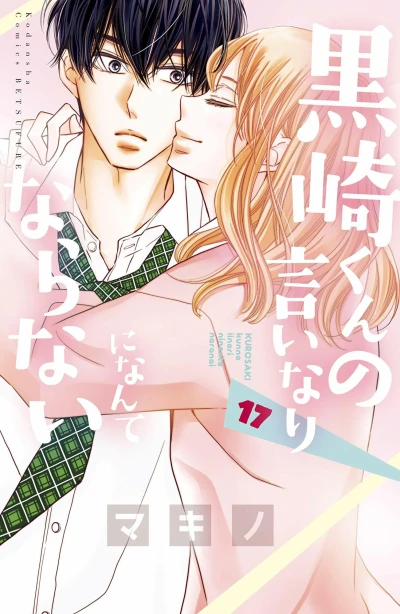 Cover of Vol. 17