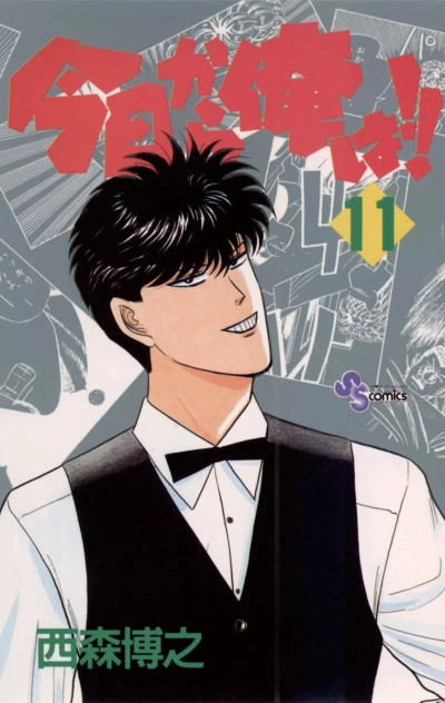 Cover of Vol. 11