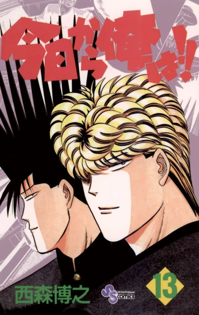 Cover of Vol. 13