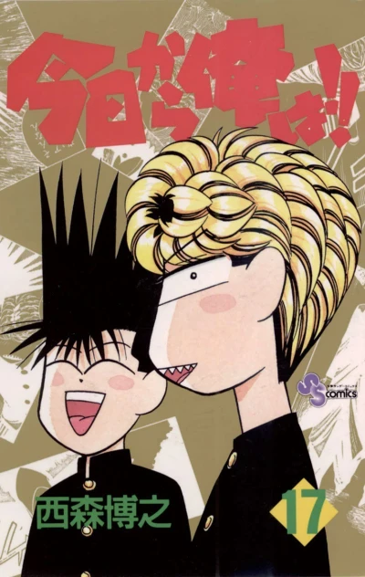 Cover of Vol. 17