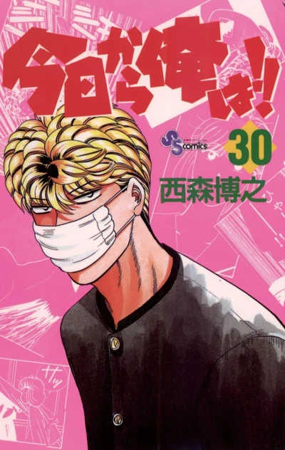 Cover of Vol. 30