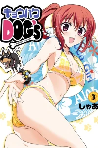 Vol. 3