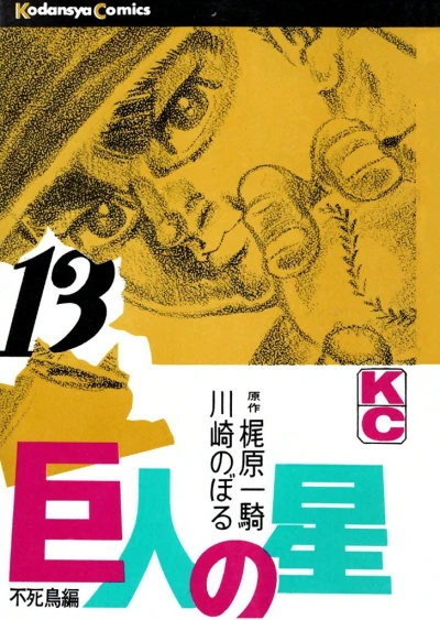 Cover of Vol. 13