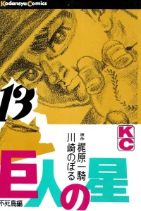 Vol. 13
