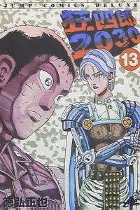 Vol. 13