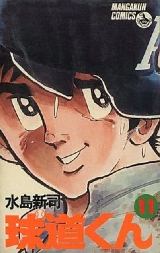 Cover of Vol. 11