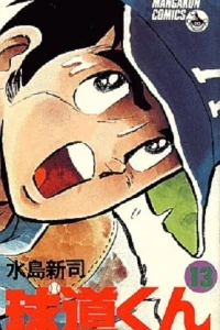 Vol. 13