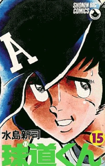 Cover of Vol. 15