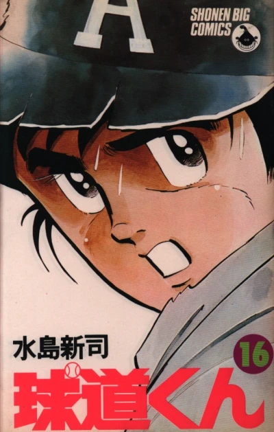 Cover of Vol. 16