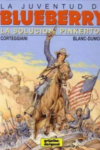 La solución Pinkerton