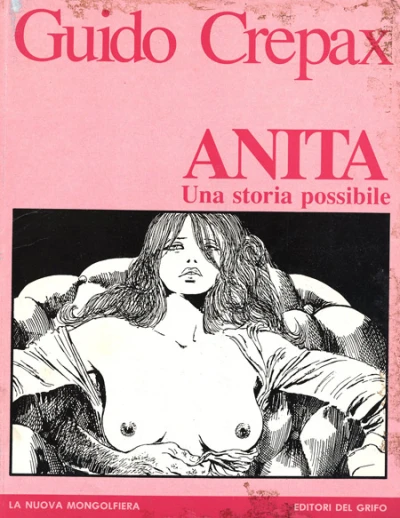 Cover of Anita, una storia possibile