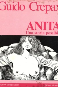 Anita, una storia possibile