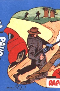 Rapimento al Central Park