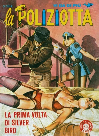 Cover of La Prima Volta di Silver Bird
