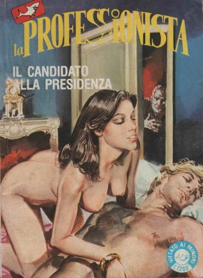 Cover of Il candidato alla presidenza