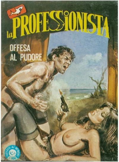 Cover of Offesa al pudore