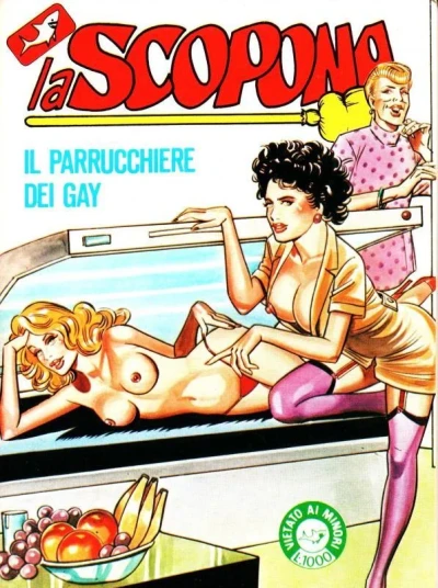 Cover of Il parrucchiere dei gay