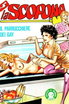 Il parrucchiere dei gay