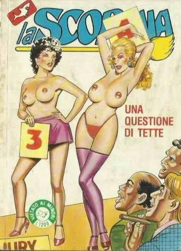Cover of Una questione di tette