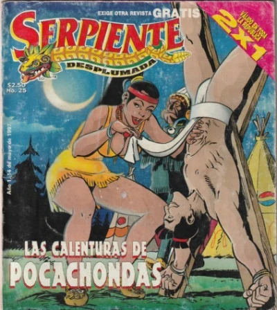 Cover of Issue #25