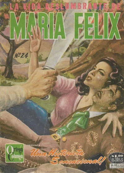 Cover of Issue #24