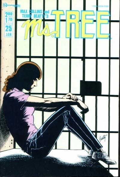 Cover of Lace Curtain Jail