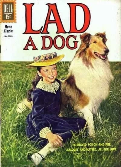 Cover of Lad: A Dog