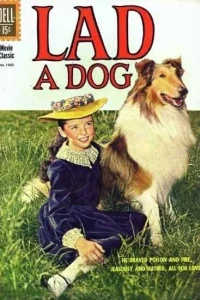 Lad: A Dog