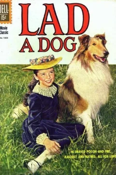 Lad: A Dog