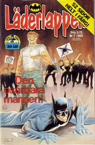 Cover of Den Osårbara Mannen