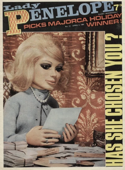 Cover of Has She Chosen You?