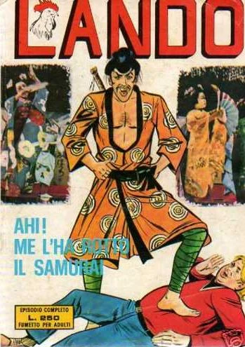 Cover of Ah! Me l'ha Rotto il Samurai
