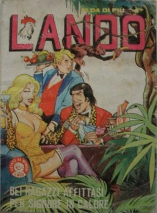 Cover of Bei Ragazzi Affittasi per Signore in Calore