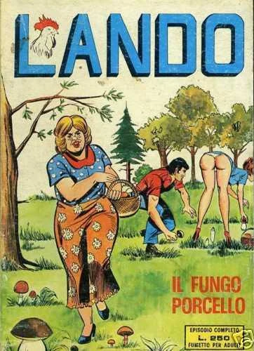 Cover of Il Fungo Porcello