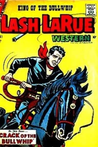 Crack of the Bullwhip
