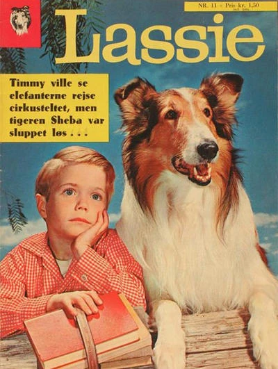 Cover of Issue #11