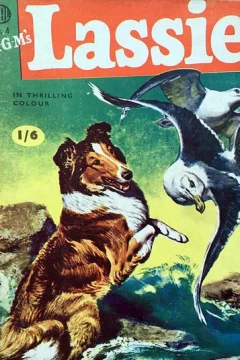 Issue #4