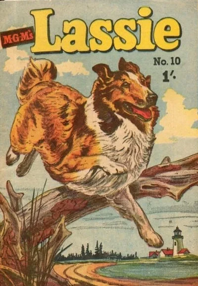 Cover of Issue #10