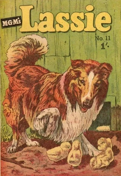 Cover of Issue #11